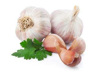Garlic