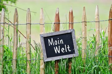 Moin Welt