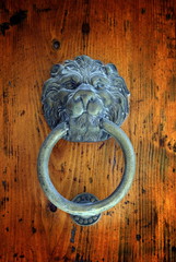 Lion door knob