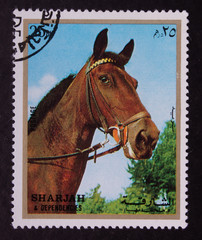 Postage stamp