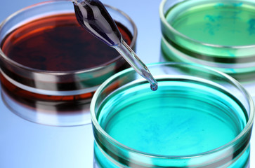 color liquid in petri dishes on blue background