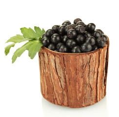 chokeberry with green leaves in wooden bowl isolated on white