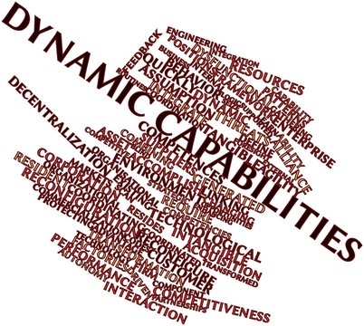 Word cloud for Dynamic capabilities