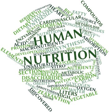 Word cloud for Human nutrition