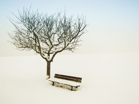 wundervolle Winterlandschaft 15, Apfelbaum und Bank