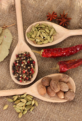 Nutmeg and other spices on sackcloth background