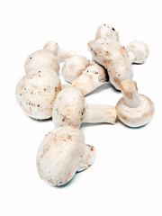 Champignons