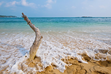 Beach view of Indian ocean