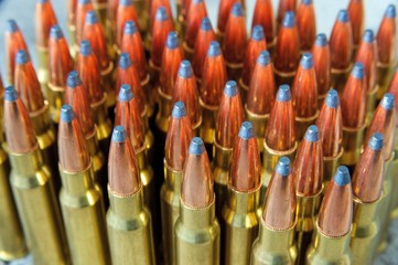 rifle ammunition 4