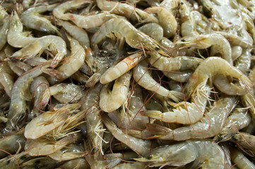 Raw prawn