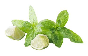 Fototapeta premium mint and lime