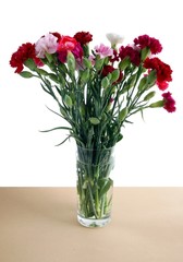 multicolor fragrant carnations