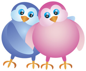 Valentines Day Lovebird Pair Illustration