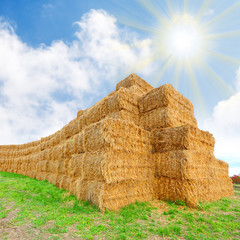 Harvested haystack. Biomass - renewable energy concept.