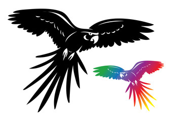 Ara parrot © murphy81