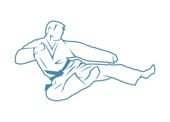 Martial arts fighter