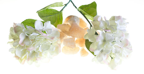 Kwiaty i kamień © robdomel