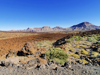 Teide National Park, Tenerife, Canary Islands, Spain