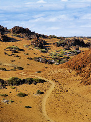 Teide National Park, Tenerife, Canary Islands, Spain