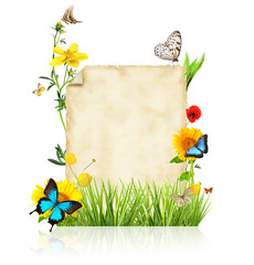 Concept of spring with blank paper for text