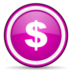 us dollar violet glossy icon on white background