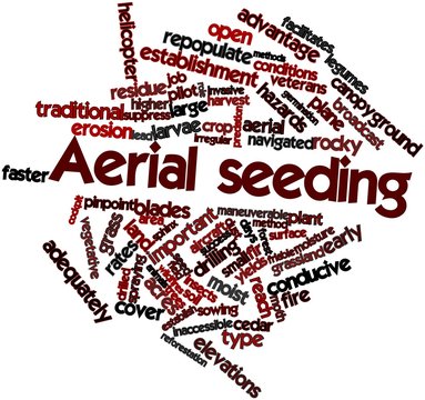 Word cloud for Aerial seeding