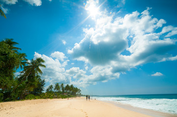 Tropical beach