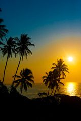 Fototapeta na wymiar Beautiful tropikalnych słońca
