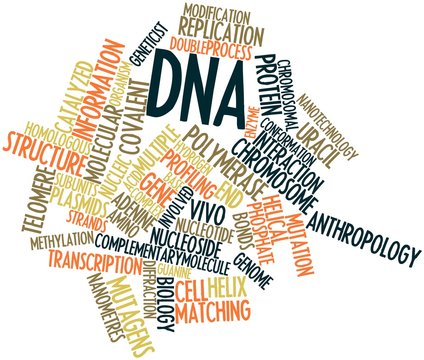 Word cloud for DNA