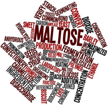 Word cloud for Maltose