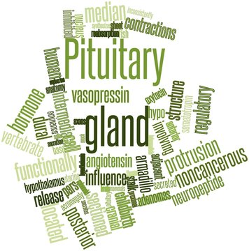Word cloud for Pituitary gland