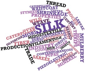 Word cloud for Silk