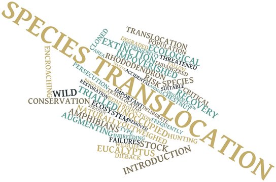 Word cloud for Species translocation