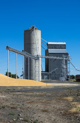 Obraz premium Silo and grain elevator