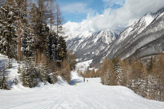 Snowy slope with skiers, mountains, forest  and village