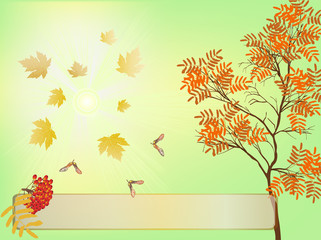 Naklejka na ściany i meble autumn background with red tree