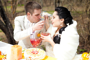 happy couple at the banquet table in the countryside