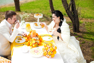 happy couple at the banquet table in the countryside
