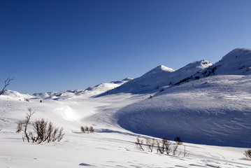 Ski tracks in rauland