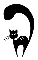 Black cat