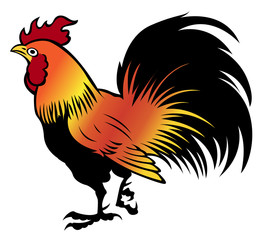 painting of the chicken