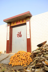 corn at the farm gate