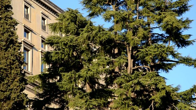 Udin Udine 우디네 Удине 烏迪內 烏甸尼  یوڈائن