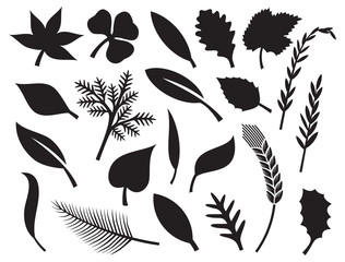vector collection of leaf silhouettes - collection leaves
