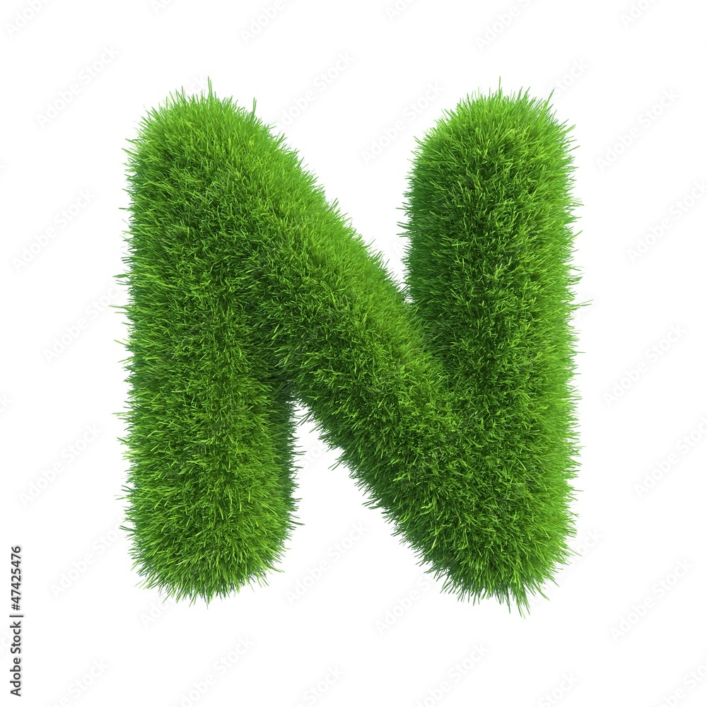 Wall mural grass letter n isolated on white background