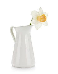 White daffodil