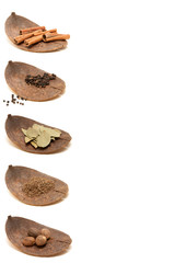 Spice collection on white background