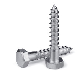 Two stainless steel lag bolts