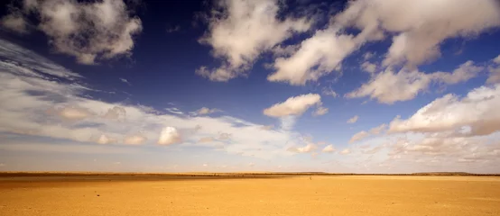 Fototapeten Sahara © MAURO
