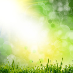 Obraz premium green natute background